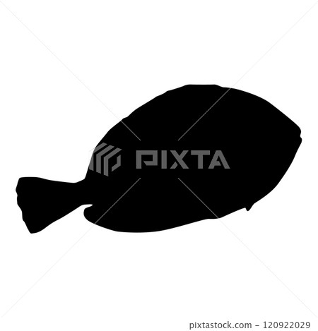 Surgeon fish black silhouette. Isolated object. Marine animal. White background. Vector illustration clipart. Side view. Surgeon fish black silhouette. Isolated object. Marine animal. White background. Vector illustration clipart. Side view. 120922029