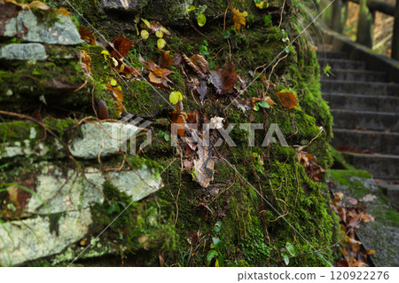 Scenery of the Great Fountain 241207_011 Scenery of the Great Fountain 241207_011 120922276