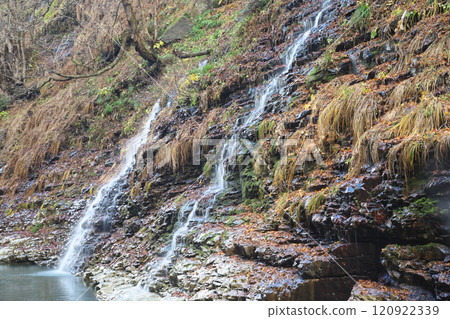 Scenery of the Great Fountain 241207_074 120922339