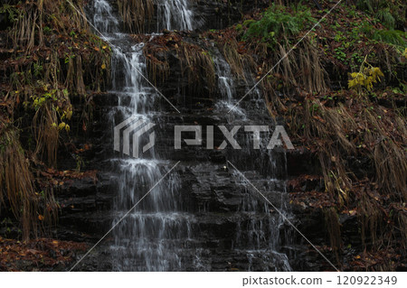 大溫泉風景241207_084 120922349