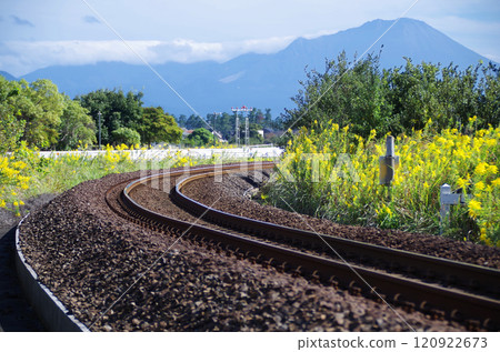 A sharp curve in the track in an unelectrified section with no utility poles or wires, and a roadside view of tall grass with bright yellow flowers. A sharp curve in the track in an unelectrified section with no utility poles or wires, and a roadside view of tall grass with bright yellow flowers. 120922673