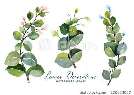 watercolor green leaves bouquet collection watercolor green leaves bouquet collection 120923097