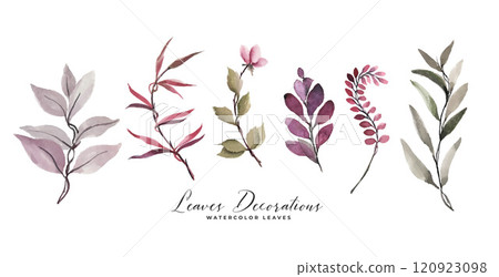 watercolor leaves and flower decoration set watercolor leaves and flower decoration set 120923098