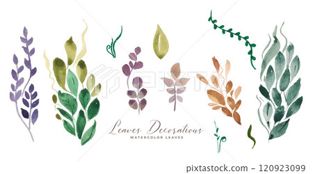 watercolor leaves decoration assortment set watercolor leaves decoration assortment set 120923099