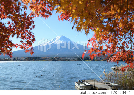 Autumn scenery along the shores of Lake Kawaguchi with red leaves Autumn scenery along the shores of Lake Kawaguchi with red leaves 120923465