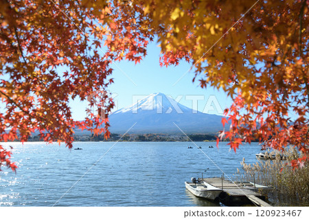 Autumn scenery along the shores of Lake Kawaguchi with red leaves Autumn scenery along the shores of Lake Kawaguchi with red leaves 120923467
