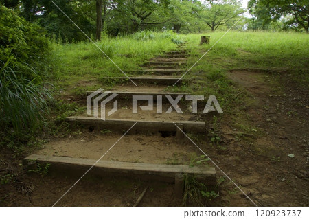 Summer scenery at Maioka Park in Totsuka Ward, Yokohama City 120923737