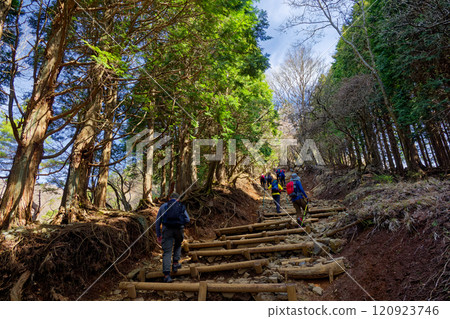 春天丹澤大倉嶺的登山者 120923746