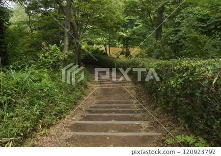 Summer scenery at Maioka Park in Totsuka Ward, Yokohama City 120923792