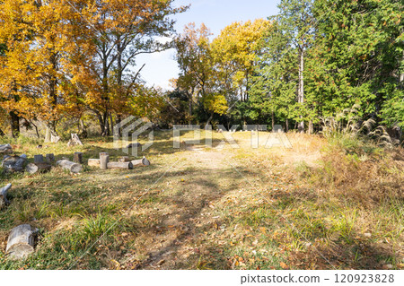 The summit of Mount Miyoshi (Settsukyo Park) 120923828