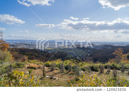 The view from the summit of Mount Miyoshi (Settsukyo Park) The view from the summit of Mount Miyoshi (Settsukyo Park) 120923830