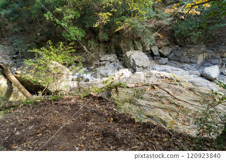 攝津峽八條岩（攝津峽公園） 120923840