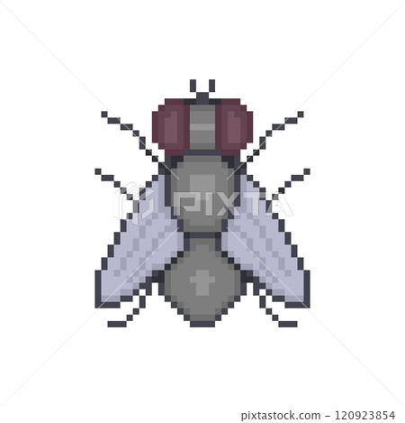 Pixel illustration of a fly 120923854