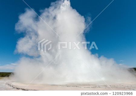 Geyser eruption in Yellowstone Geyser eruption in Yellowstone 120923966