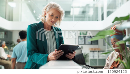 Business, typing and mature woman with tablet, reception and network with internet, connection and social media. Person, consulting agency and employee in workplace, tech and welcome with digital app Business, typing and mature woman with tablet, reception and network with internet, connection and social media. Person, consulting agency and employee in workplace, tech and welcome with digital app 120924123