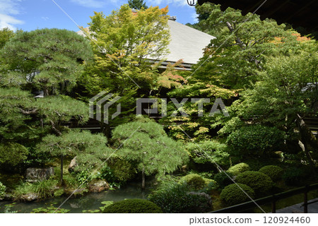 從總寺院禪林寺釋迦堂看到的夏日花園(京都市左京區) 從總寺院禪林寺釋迦堂看到的夏日花園(京都市左京區) 120924460