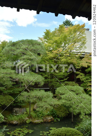 從總寺院禪林寺釋迦堂看到的夏日花園(京都市左京區) 從總寺院禪林寺釋迦堂看到的夏日花園(京都市左京區) 120924462