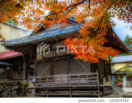 Otaki Shrine worship hall and autumn leaves in Taga Town, Shiga Prefecture Otaki Shrine worship hall and autumn leaves in Taga Town, Shiga Prefecture 120924762