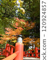 紅橋秋葉風景 120924857