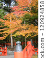 紅色橋樑和秋葉 120924858