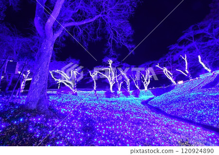 相模湖 MORIMORI 燈光秀 120924890