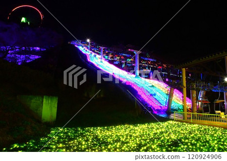 Lake Sagami Morimori Illumination 120924906