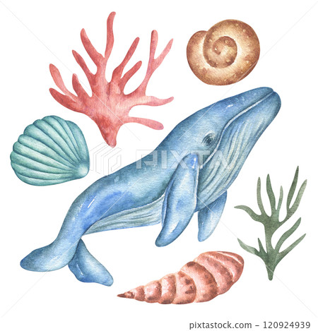 Watercolor set of illustrations of a whale, shells, coral marine collection. Underwater world on a transparent background. World Whale Day. 120924939