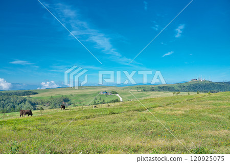 [Utsukushigahara Plateau (Ushibuseyama Ranch)] Takeishikamimotoiri, Ueda City, Nagano Prefecture 120925075