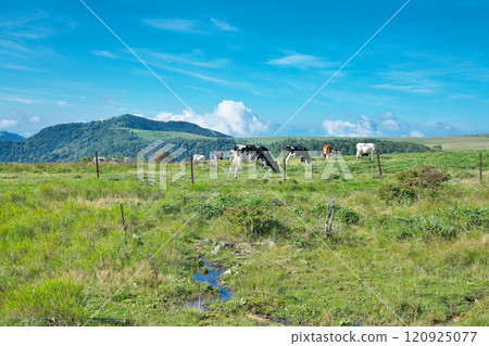 [Utsukushigahara Plateau (Ushibuseyama Ranch)] Takeishikamimotoiri, Ueda City, Nagano Prefecture 120925077