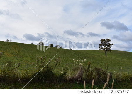 大分縣九重町風景 120925297