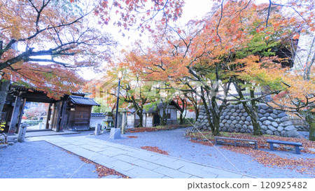 明亮的紅色秋葉和橋樑 明亮的紅色秋葉和橋樑 120925482