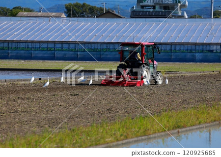Plowing with tractor Plowing with tractor 120925685