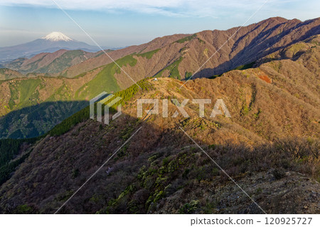 春天的丹澤表嶺、烏尾山和富士山 春天的丹澤表嶺、烏尾山和富士山 120925727