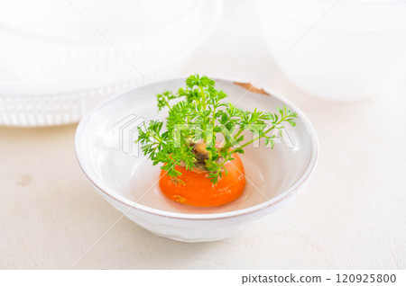 Lipo Veggie Carrot 120925800