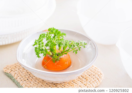 Lipo Veggie Carrot Lipo Veggie Carrot 120925802
