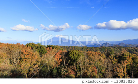 Mount Fuji as seen from Mount Daruma on the Izu Peninsula Mount Fuji as seen from Mount Daruma on the Izu Peninsula 120925826