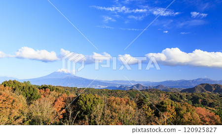 Mount Fuji as seen from Mount Daruma on the Izu Peninsula 120925827