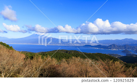 Mount Fuji as seen from Mount Daruma on the Izu Peninsula Mount Fuji as seen from Mount Daruma on the Izu Peninsula 120925829
