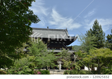 Spring at the head temple Manpukuji Sanmon Gate [Important Cultural Property] 120925832