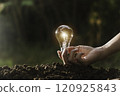 Innovation and energy concept of hand hold a light bulb and copy space for insert text. 120925843