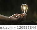 Innovation and energy concept of hand hold a light bulb and copy space for insert text. 120925844