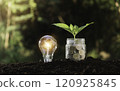 Business accounting with saving money with light bulb concept financial. 120925845