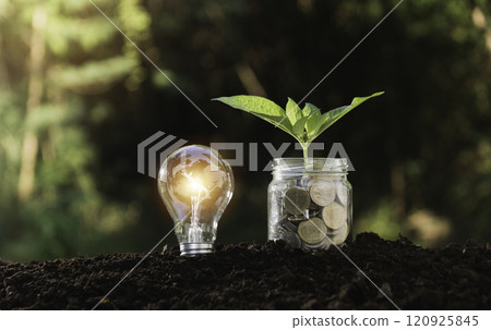Business accounting with saving money with light bulb concept financial. Business accounting with saving money with light bulb concept financial. 120925845