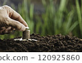 Hand with money coins stack, Business investment growth concept, saving concept, Hand putting stack of coin. 120925860