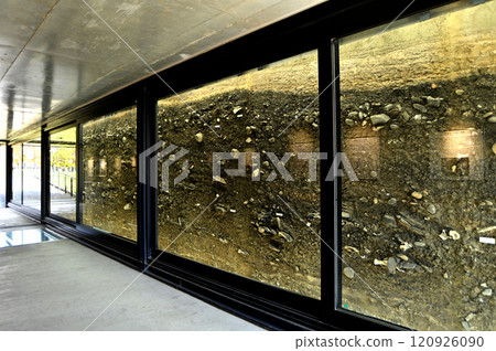 入江貝塚 120926090