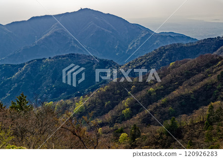 Mt. Oyama and Shonan/Enoshima seen from the Tanzawa Omote Ridge in spring 120926283