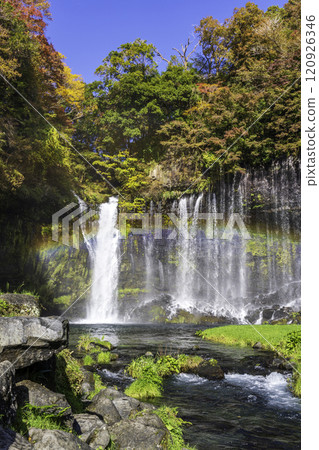 Shiraito Falls colored by autumn leaves from Fujinomiya City Shiraito Falls colored by autumn leaves from Fujinomiya City 120926346