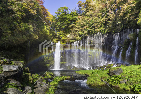 Shiraito Falls colored by autumn leaves from Fujinomiya City Shiraito Falls colored by autumn leaves from Fujinomiya City 120926347