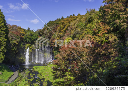 A rainbow over Shiraito Falls, colored by autumn leaves, from Fujinomiya City 120926375