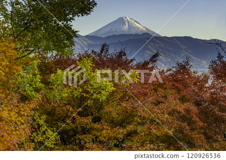甲府市和田山紅葉 從街道到紅葉、甲府市建築和富士山 120926536
